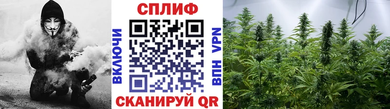 Бошки марихуана THC 21%  ссылка на мегу вход  Меленки 